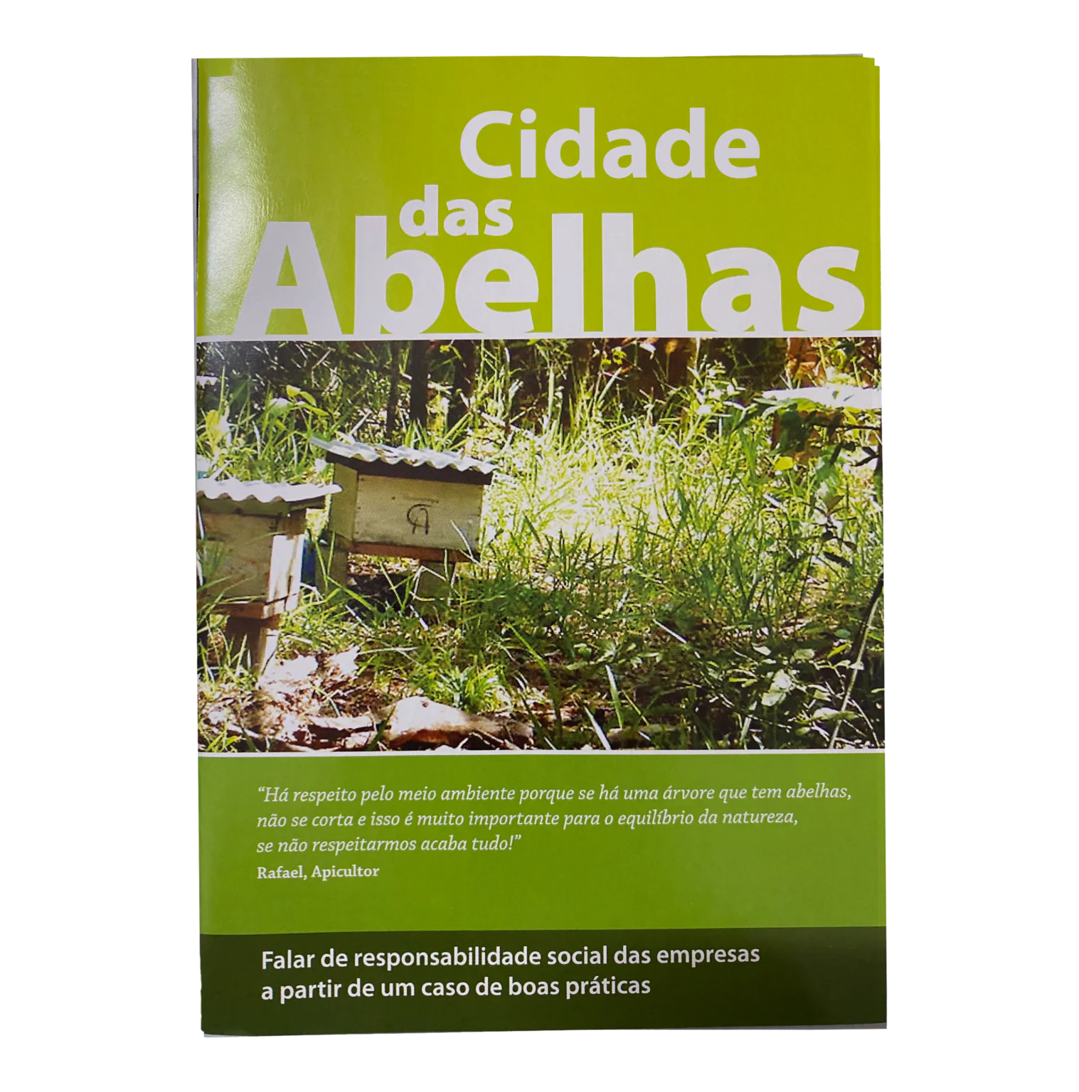 Livro Cidade das Abelhas